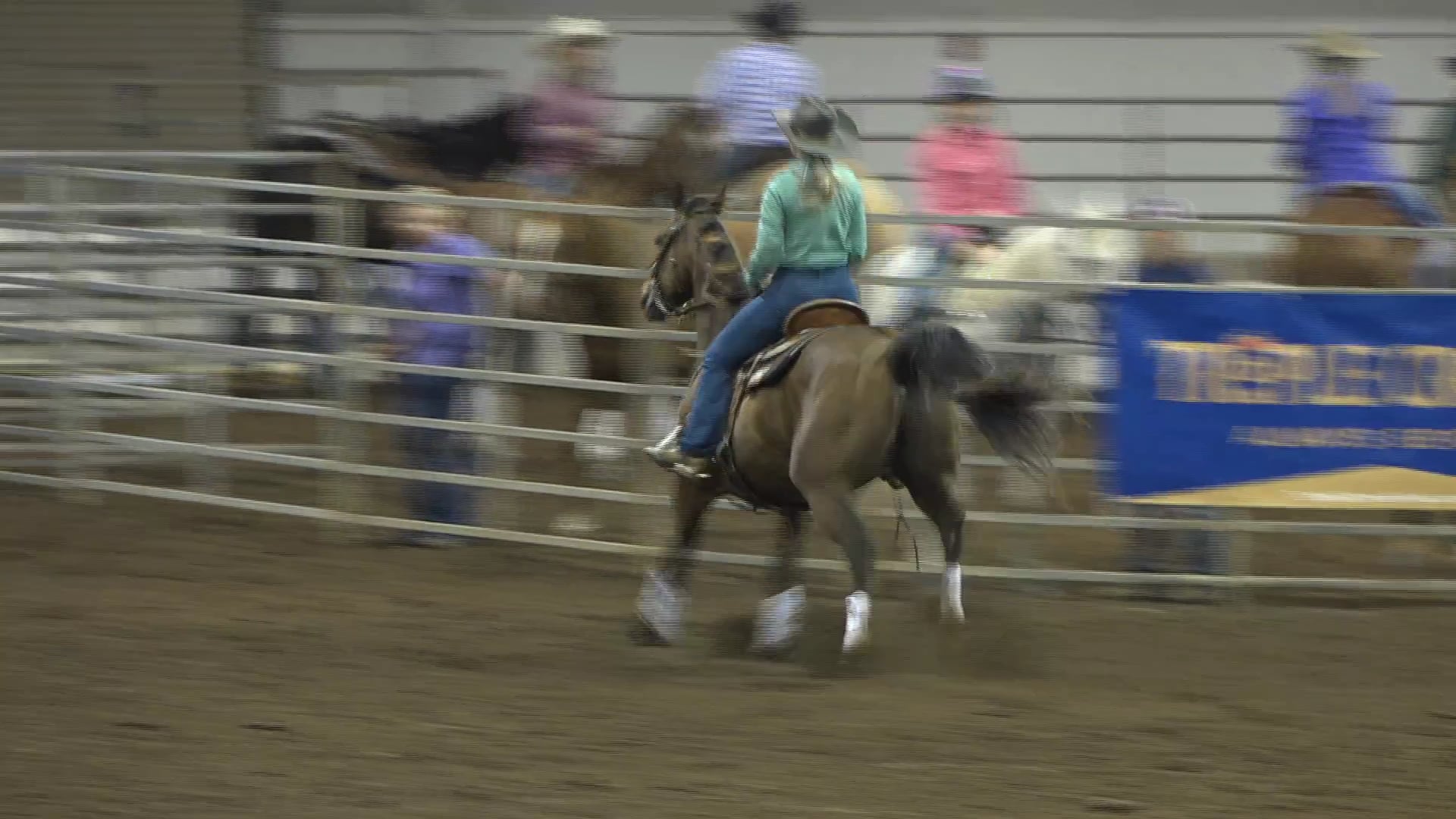 2019 NBHA GA Op1 #456-460