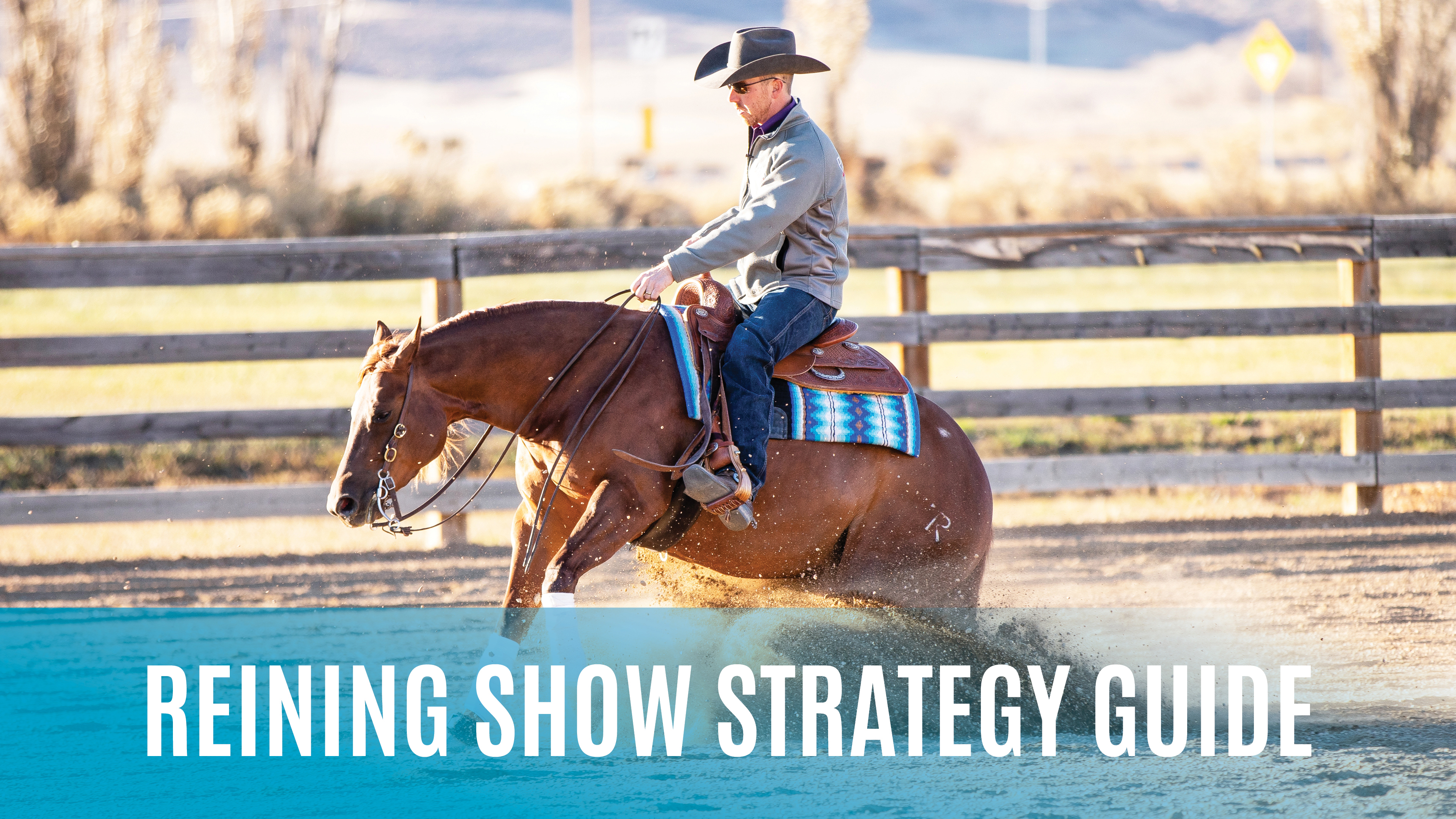 Reining Show Strategy Guide