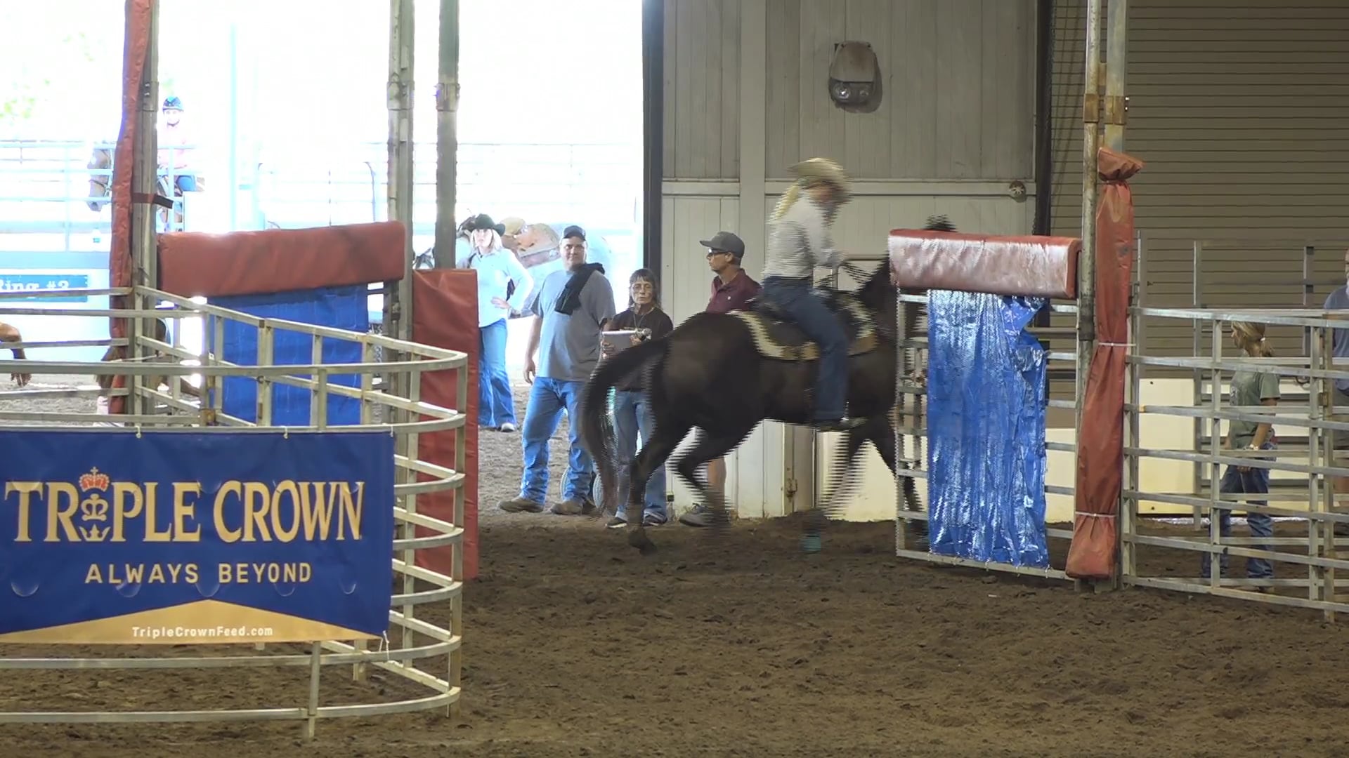 2019 NBHA GA Op1 #221-225