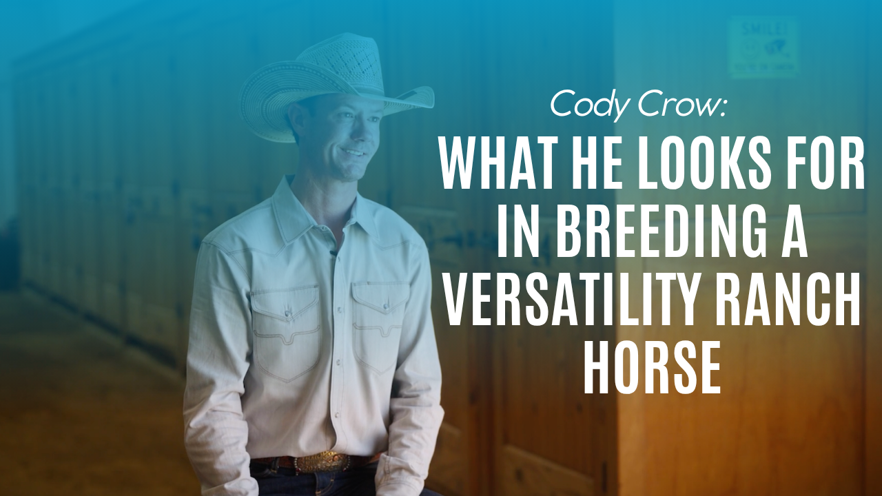 Cody Crow: What He Looks for in Breeding a Versatility Ranch Horse
