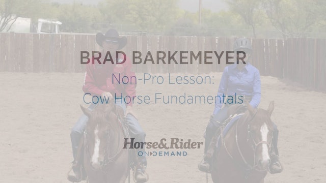 NonPro Lesson:Cow Horse Fundamentals