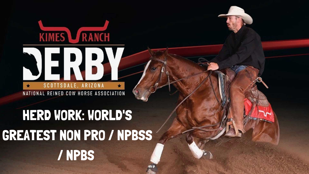 Herd Work: World's Greatest Non Pro/NPBSS/NPBS | 2026 NRCHA Derby - NorthHall