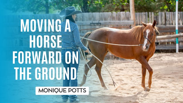 Moving a Horse Forward on the Ground