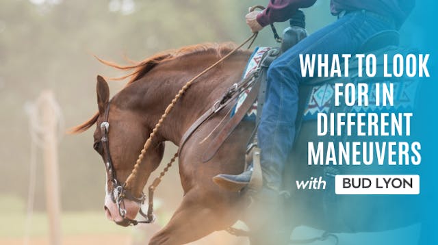 What to Look For In Different Maneuvers