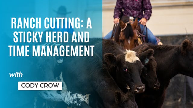 Ranch Cutting: A Sticky Herd, Time Ma...