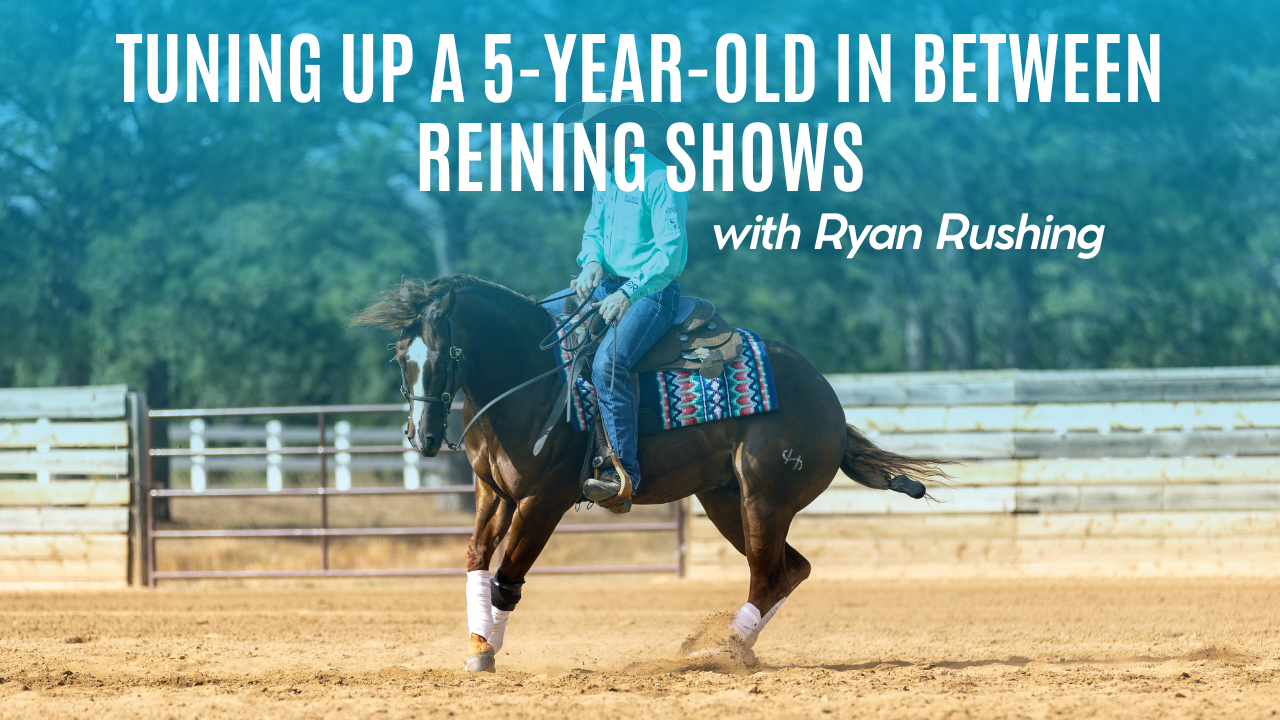 Tuning Up a 5-Year-Old In Between Reining Shows