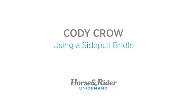 Using a Sidepull Bridle