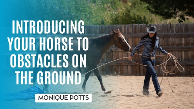 Introducing Your Horse to Obstacles on the Ground