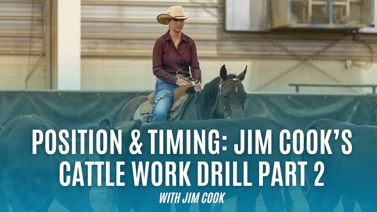 Position & Timing: Jim Cook’s Cattle Work Drill Part 2 - Arabian Cow ...