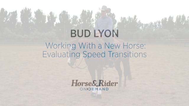 Working With a New Horse: Evaluating ...