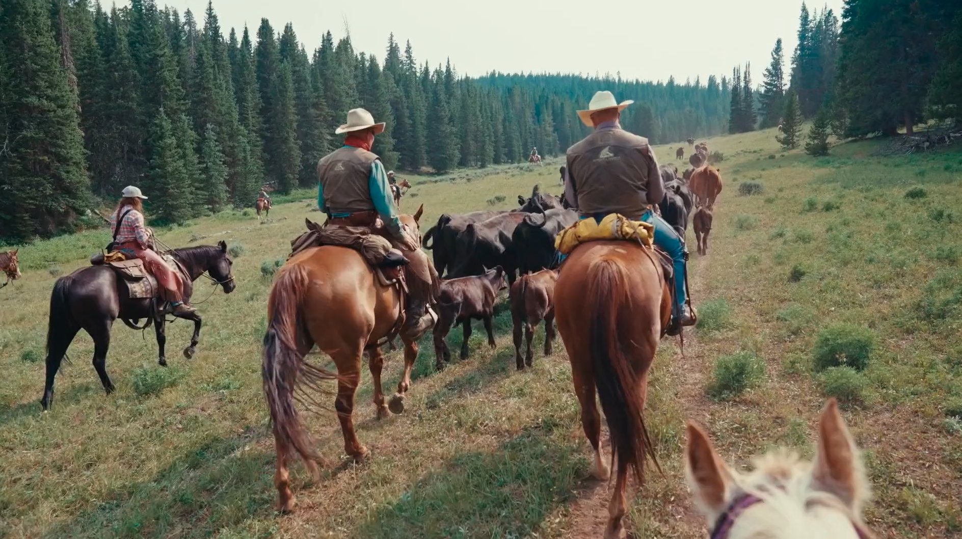 The Drive to Brotherhood Presented by Sentinel Horse Feeds 