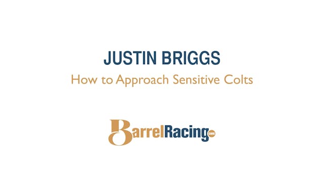 How to Approach Sensitive Colts