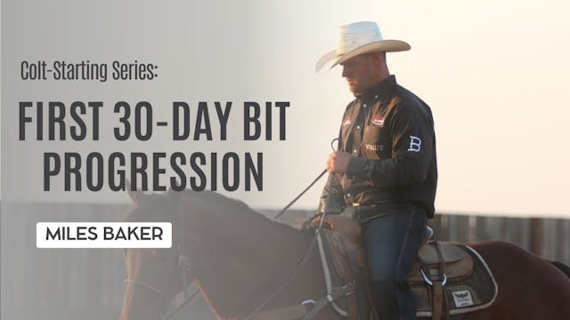 Colt-Starting Series: First 30-Day Bi...