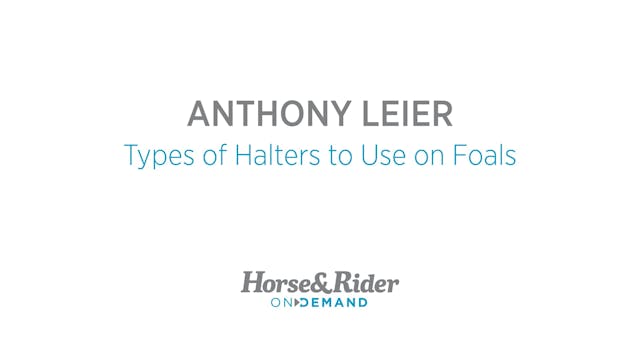 Types of Halters to Use on Foals