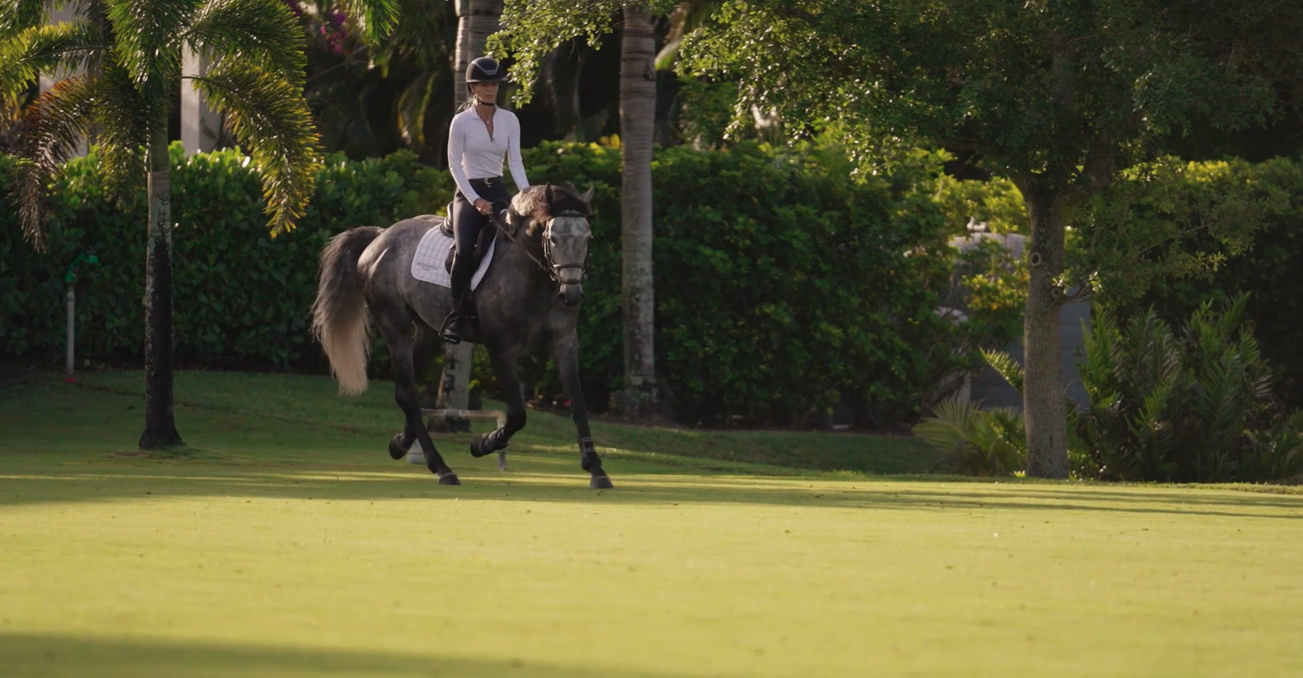 The Making of A Masterpiece: Little Horse Big Jump