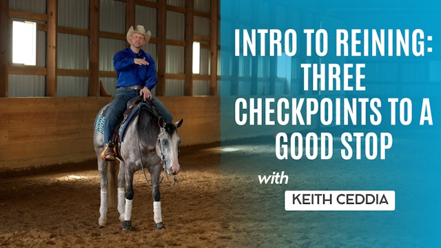 Intro to Reining: Three Checkpoints to a Good Stop