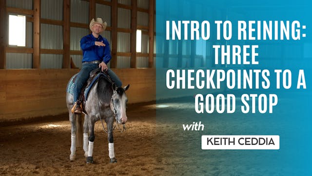 Intro to Reining: Three Checkpoints t...