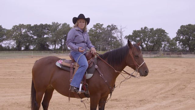 Types of Barrel Racing Horses