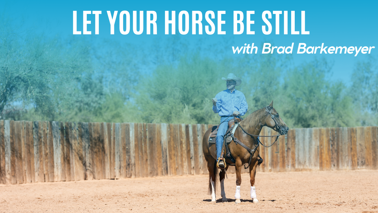 Let Your Horse Be Still