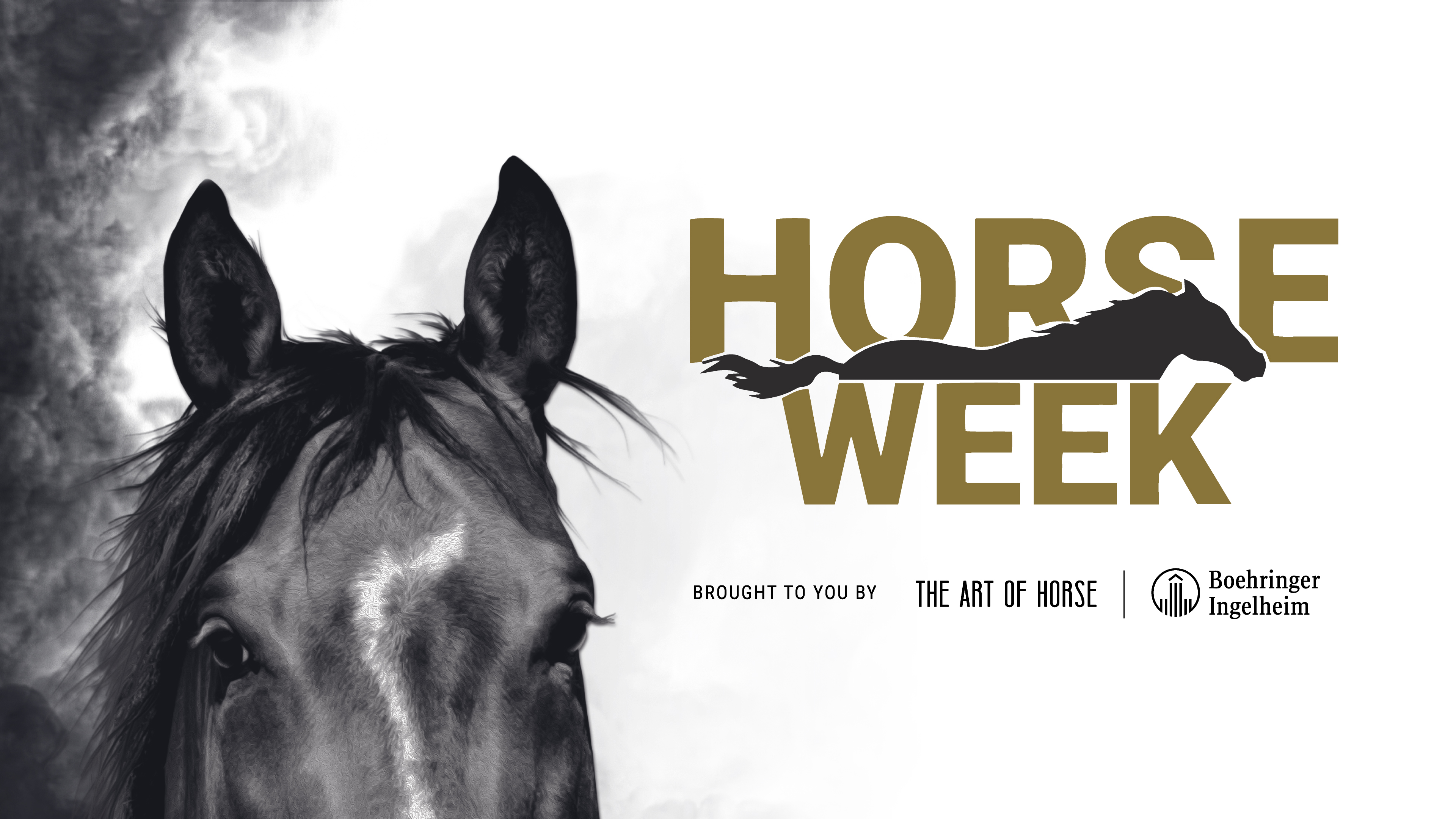 Horse Week
