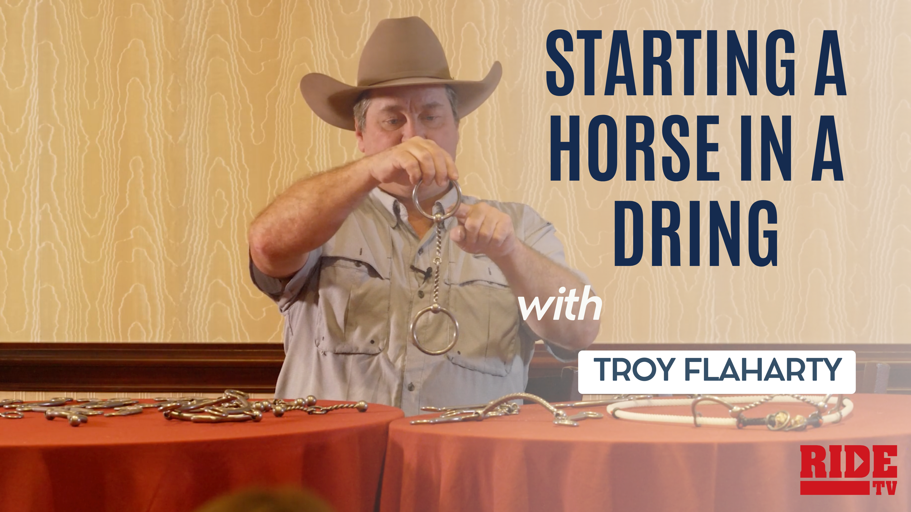 Starting a Horse in a DRing