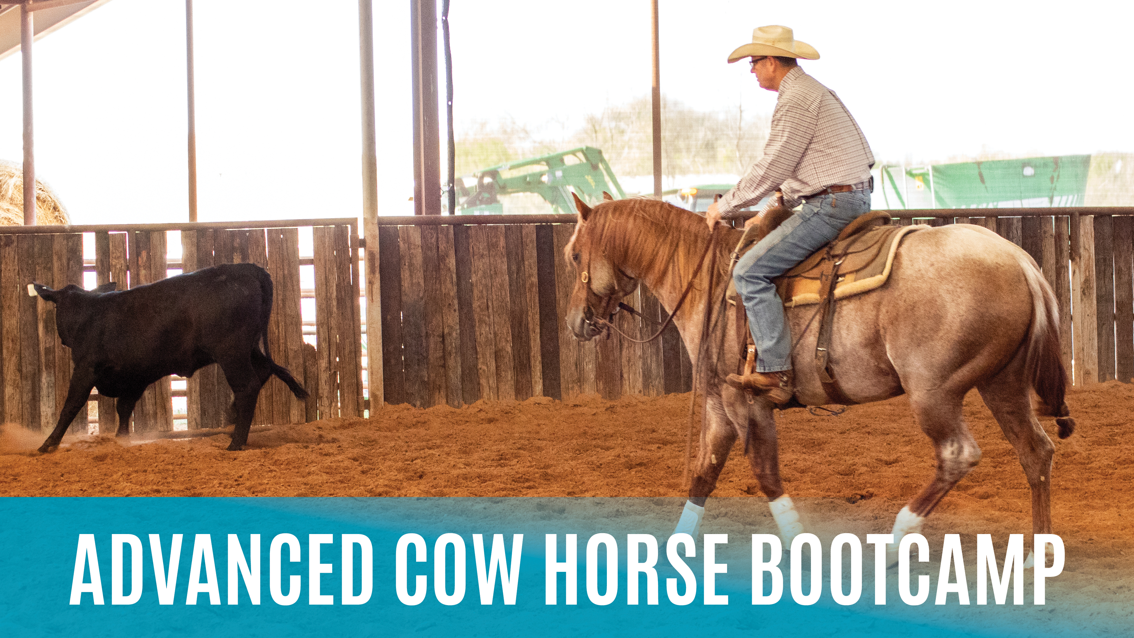 Advanced Cow Horse Bootcamp