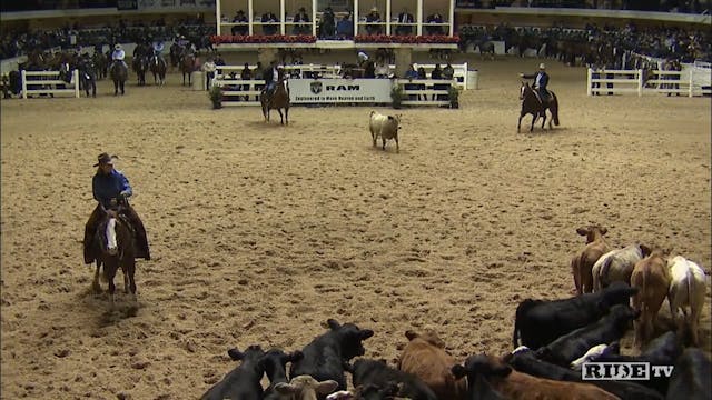 2015 NCHA World Championship Futurity