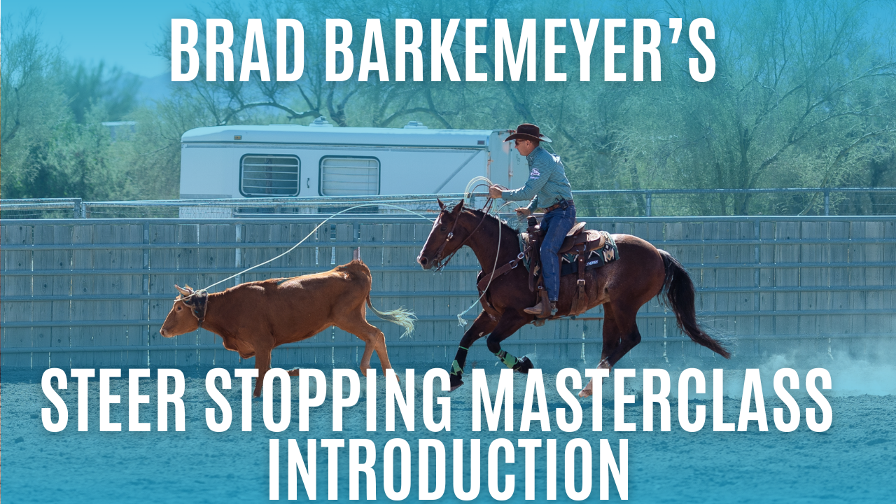 Introduction to Steer Stopping