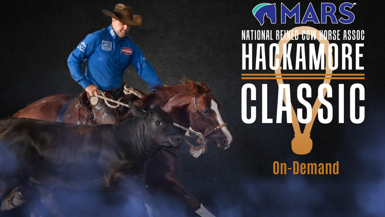 MARS EQUESTRIAN™ NRCHA Hackamore Classic