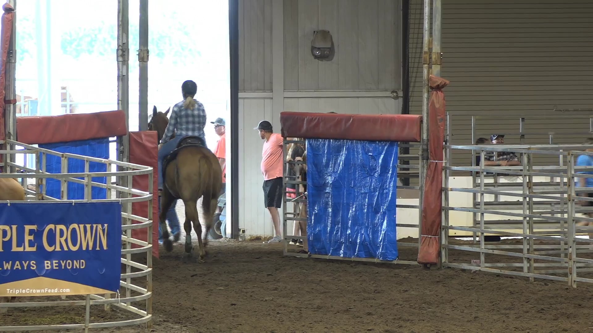 2019 NBHA GA Op2 #200-196