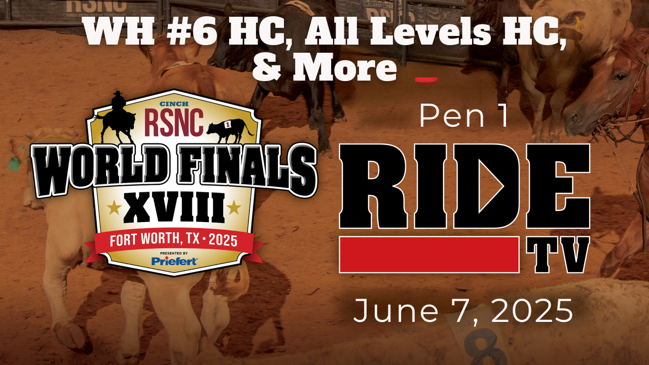 ⁠WH #6 HC, All Levels HC, & More | Ci...