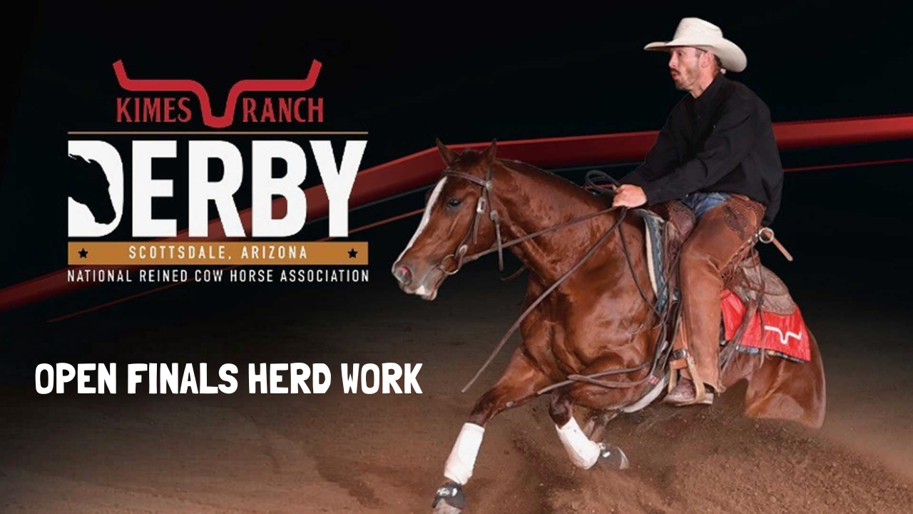 Open Finals Herd Work | 2026 NRCHA Derby - NorthHall