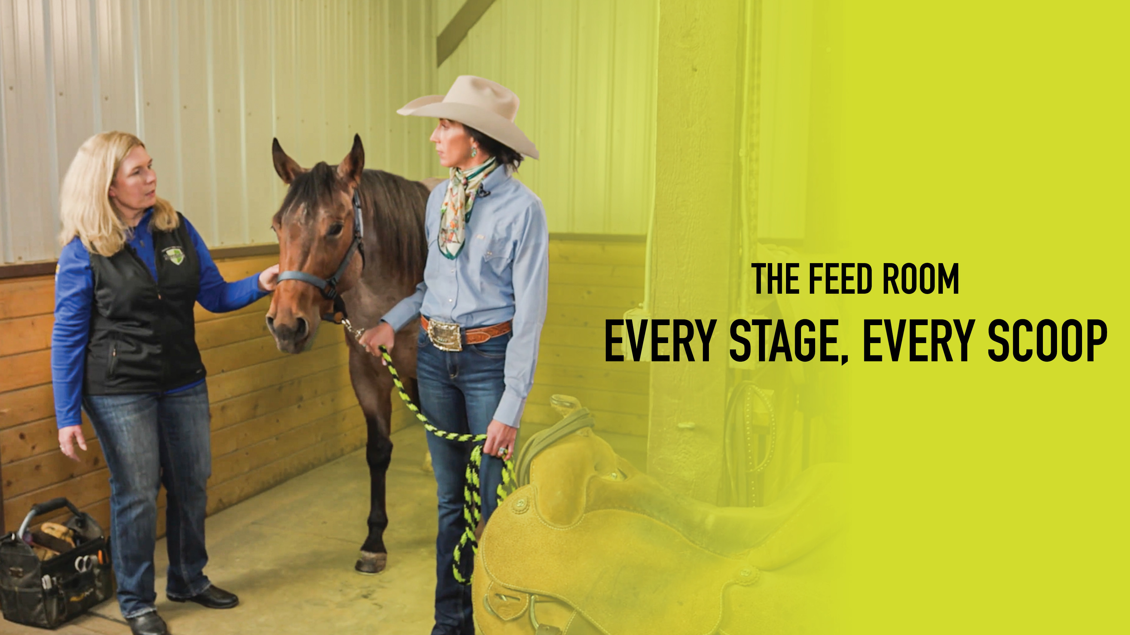 Every Stage, Every Scoop