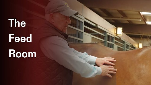 The Feed Room: Episode Two - Gut Inst...