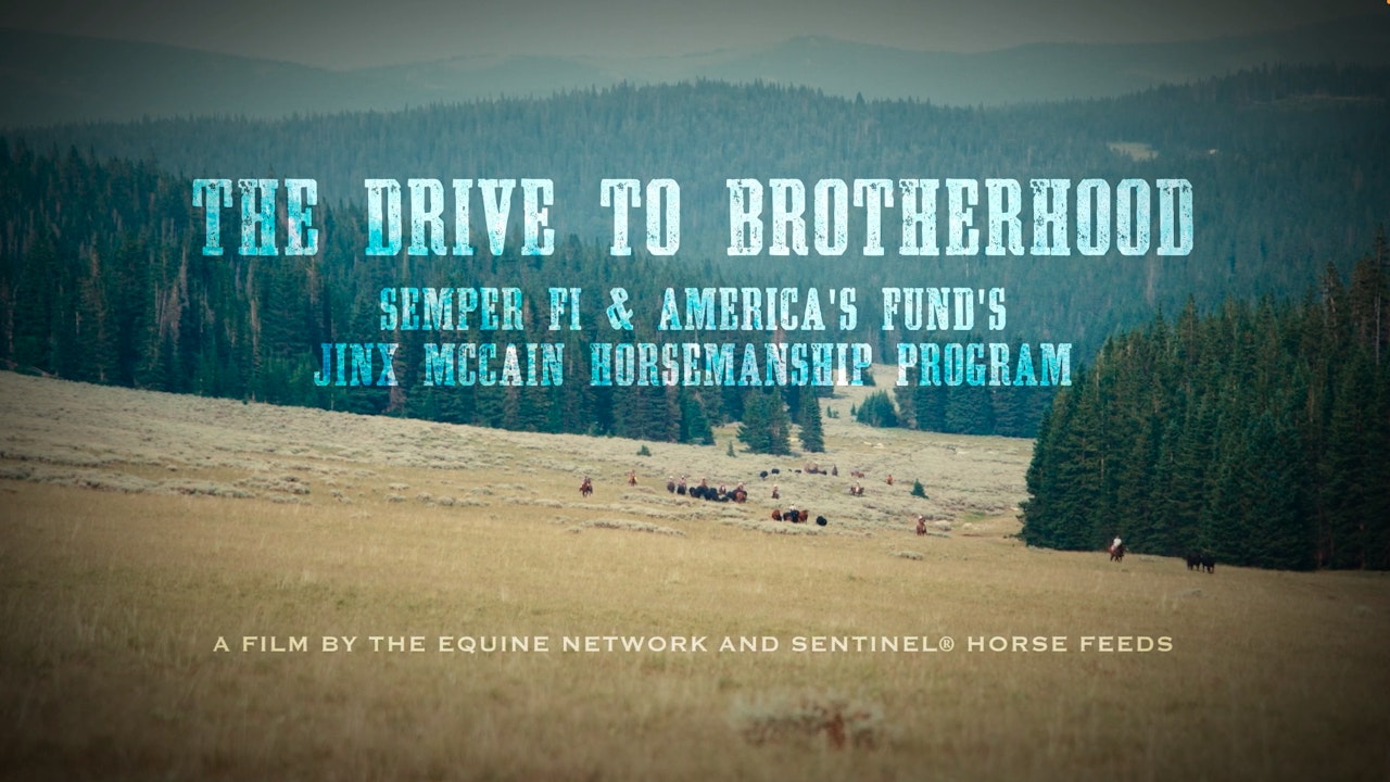 The Drive to Brotherhood Presented by Sentinel Horse Feeds