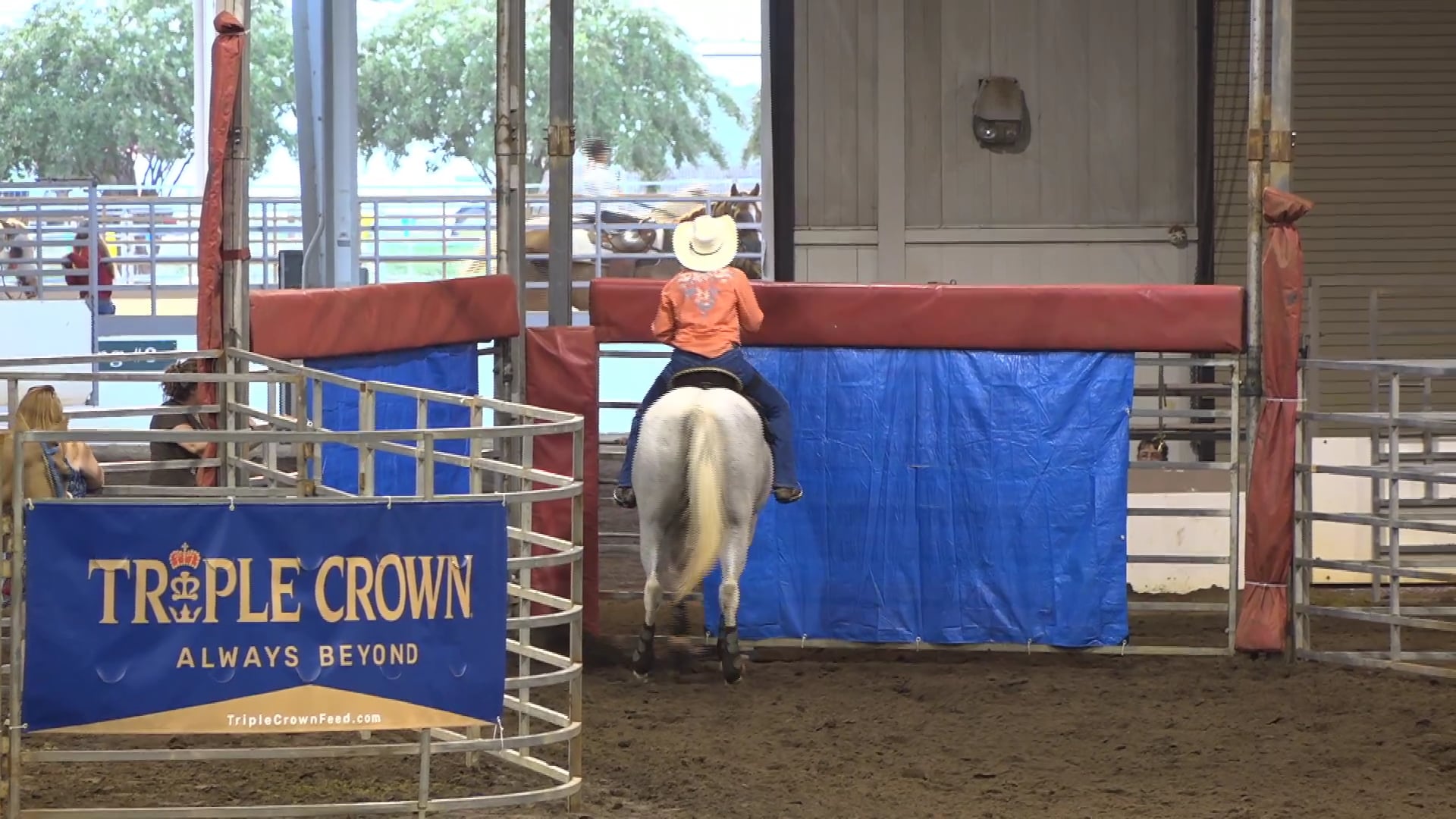 2019 NBHA GA Op2 #110-106