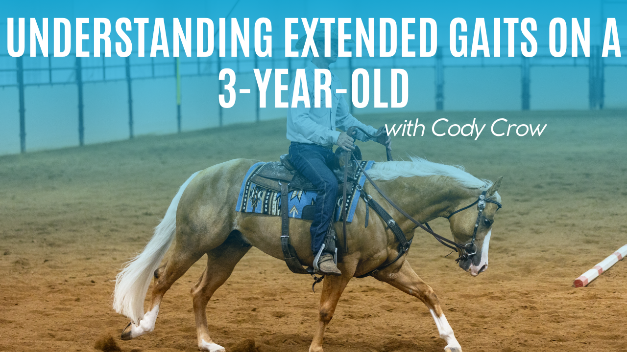 Cody Crow: Understanding Extended Gaits on a 3-Year-Old
