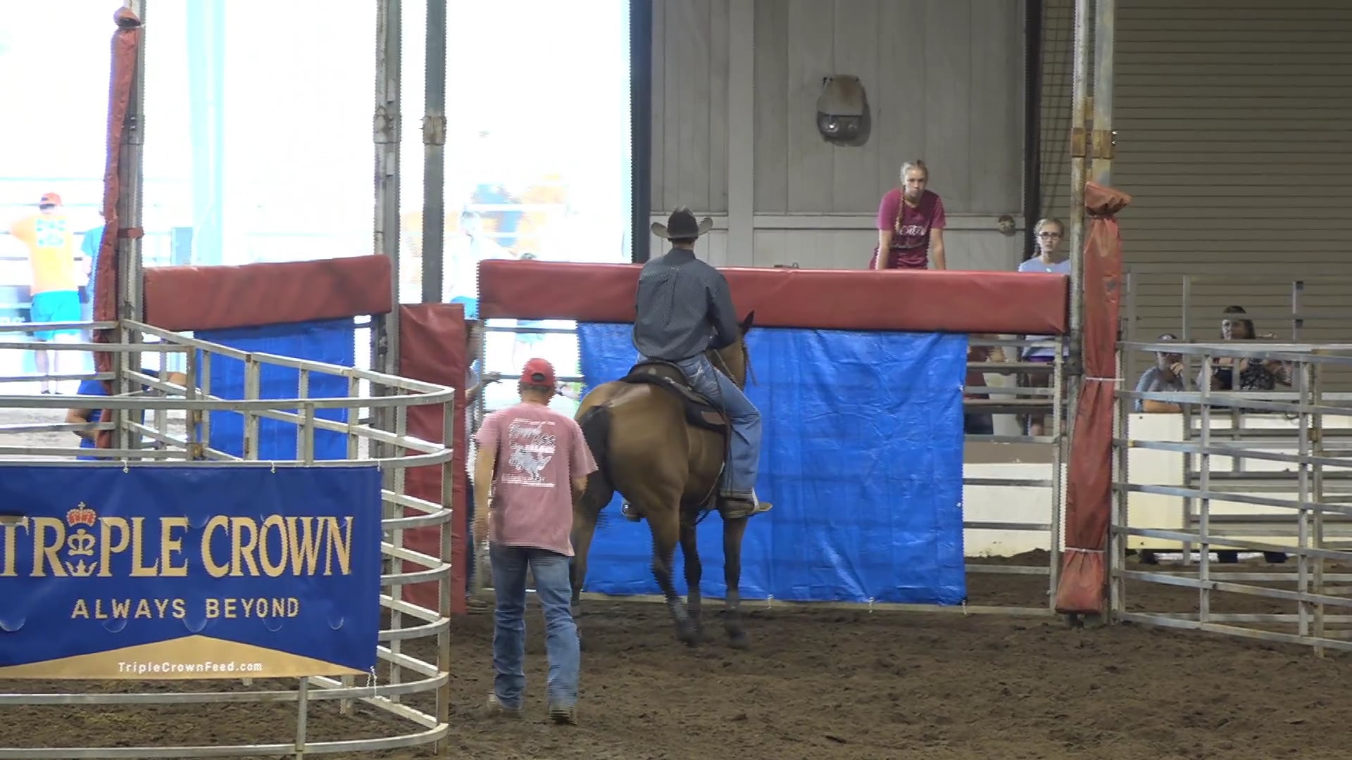 2019 NBHA GA Op1 #446-450