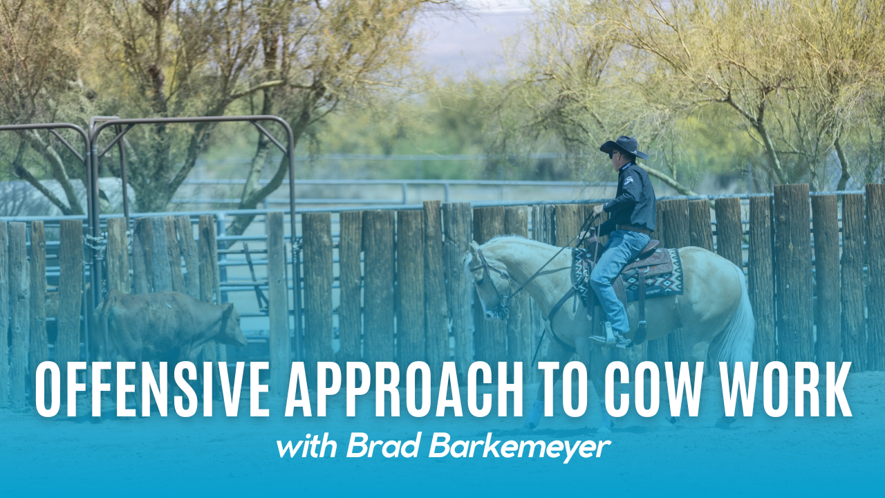 Offensive Approach to Cow Work