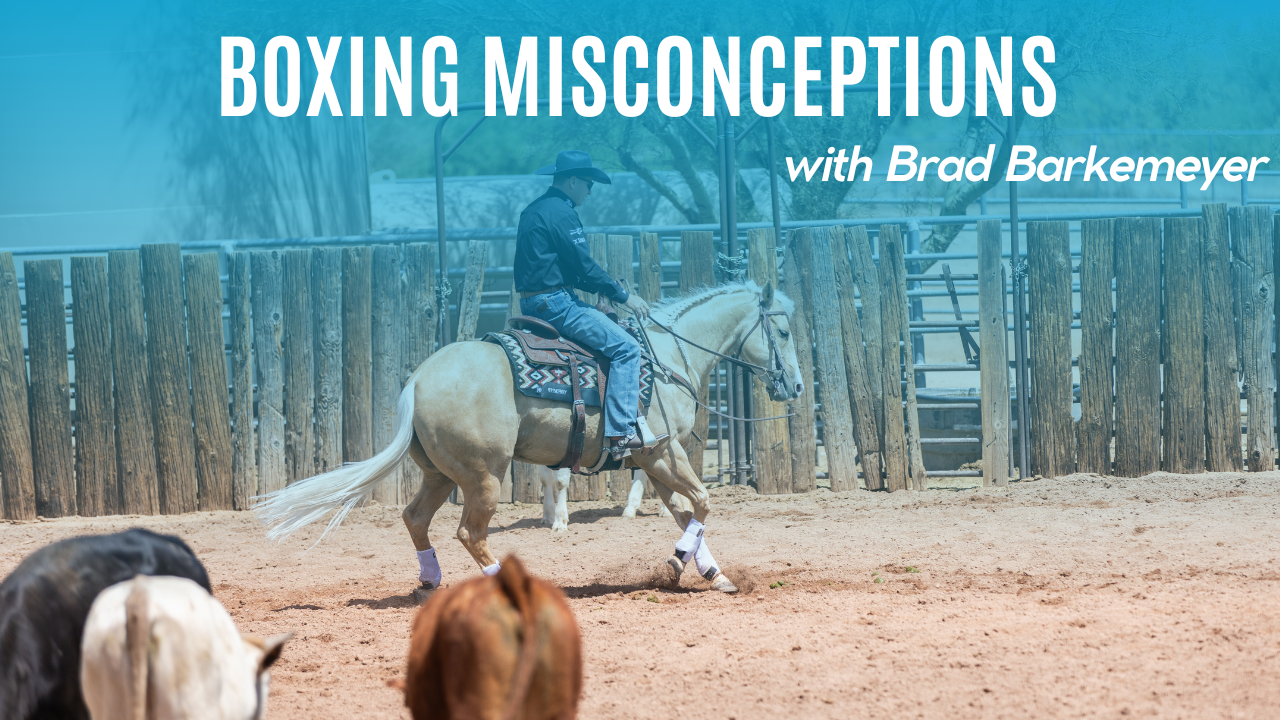Boxing Misconceptions