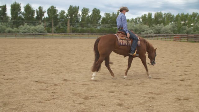 Softening a Stiff Horse