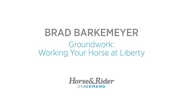Groundwork: Working Your Horse at Liberty