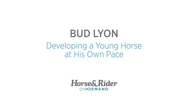 Develop a Young Horse at his own Pace