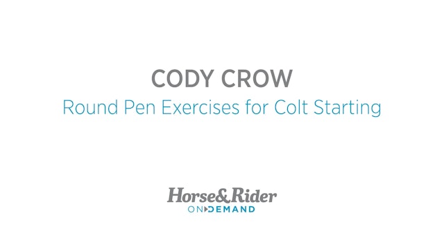 Round Pen Exercises for Colt Starting