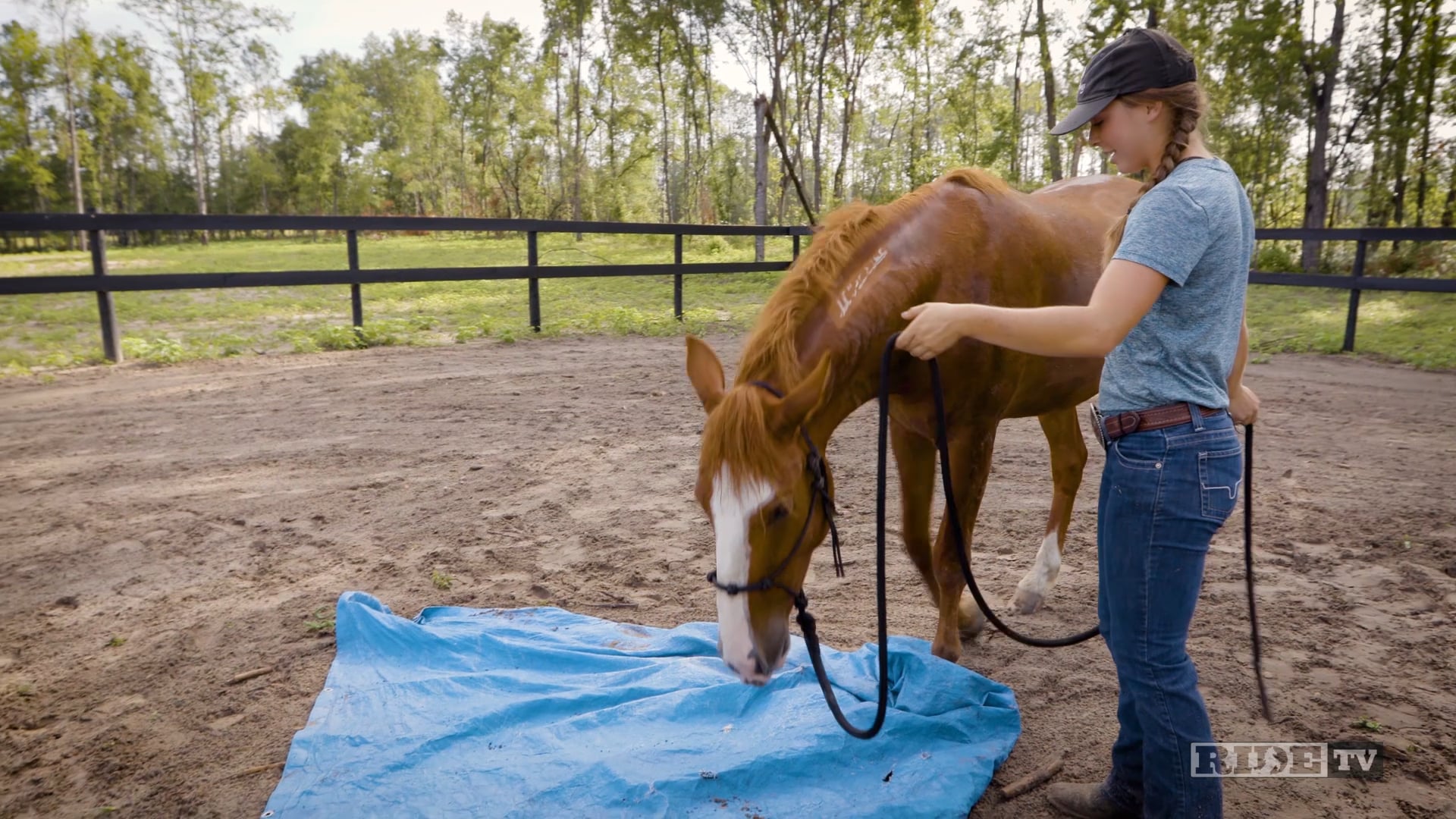 Horsemanship with Cat - Confidence