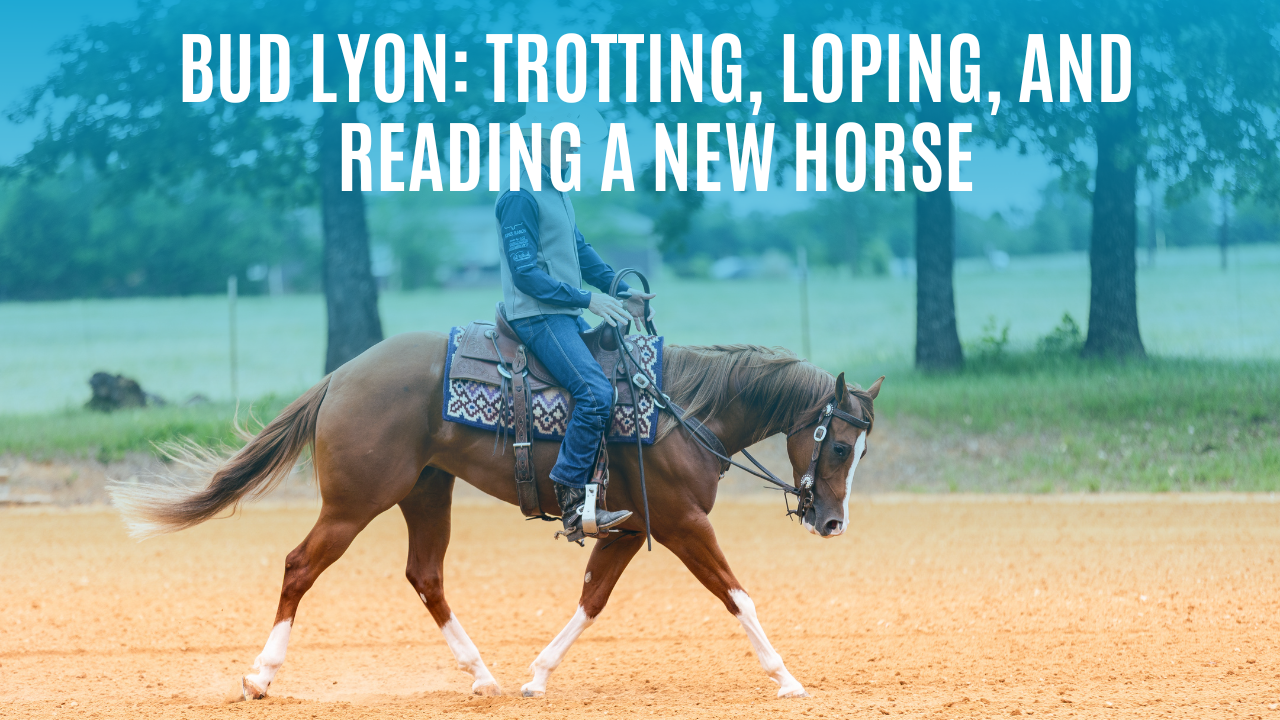 Bud Lyon: Trotting, Loping, and Reading a New Horse