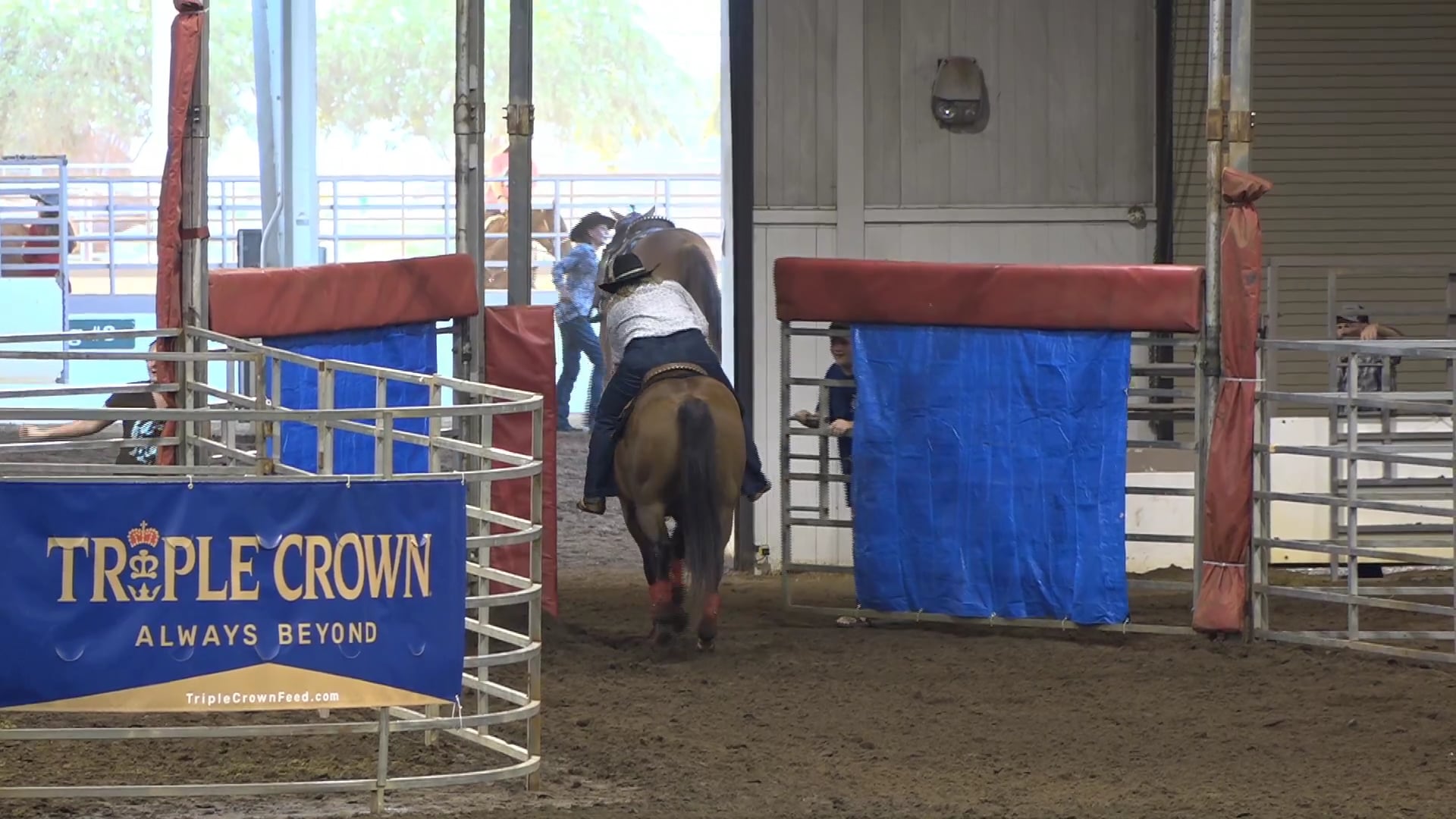 2019 NBHA GA Op2 #165Reride