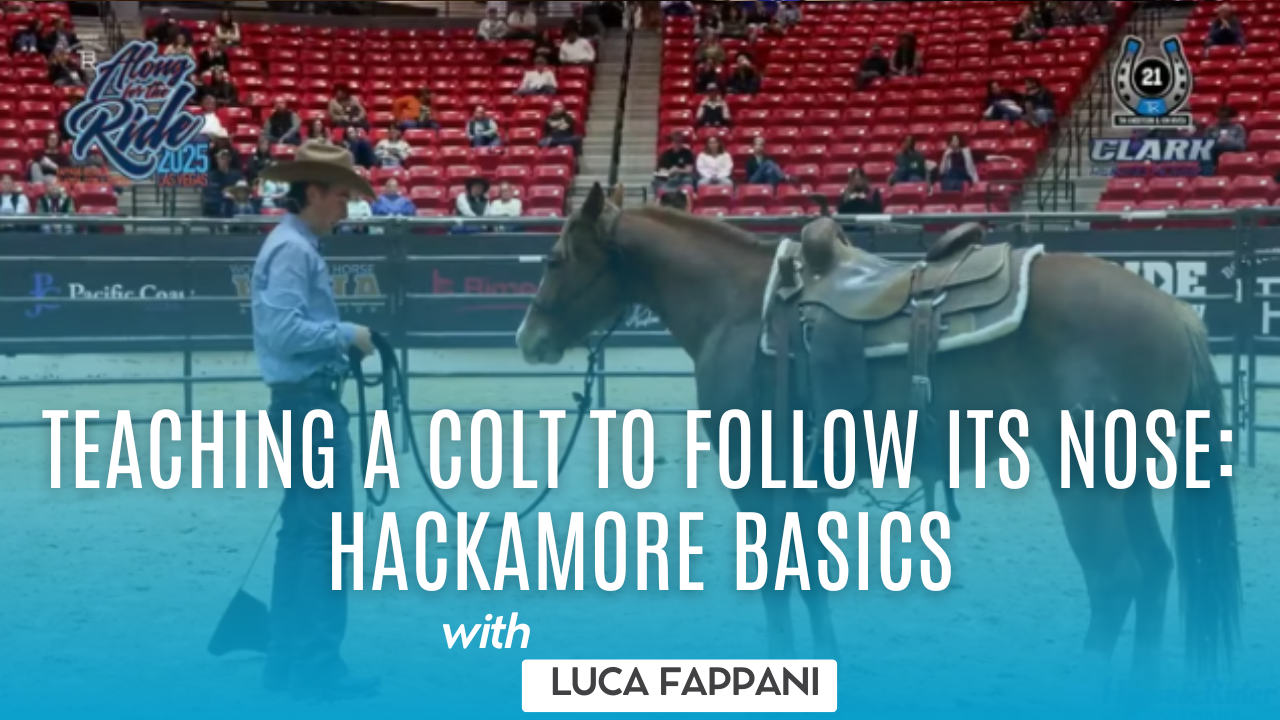 Teaching a Colt to Follow Its Nose: Hackamore Basics with Luca Fappani
