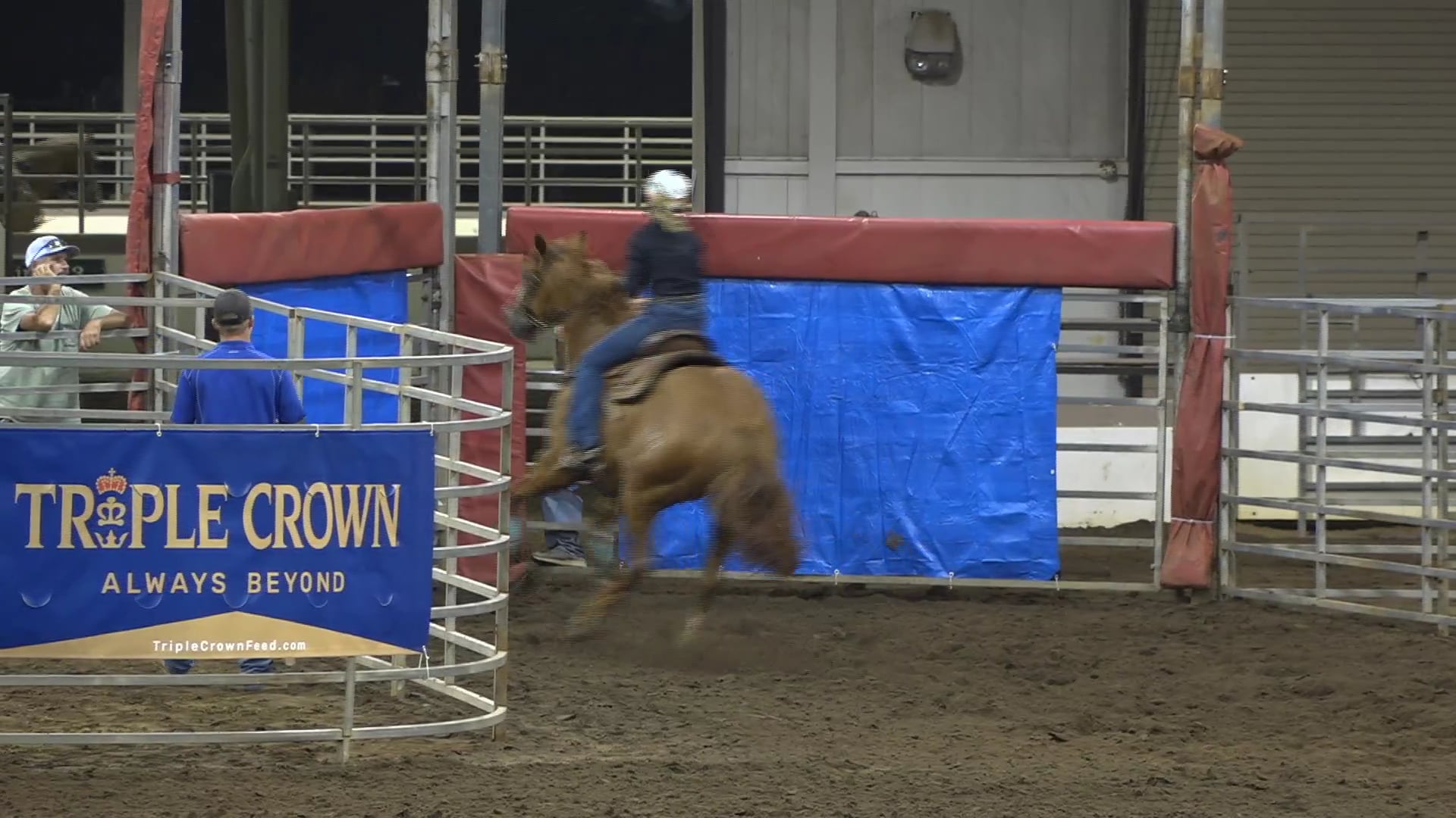 2019 NBHA GA Y1 #091-095