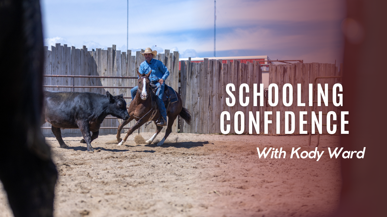 Schooling Confidence